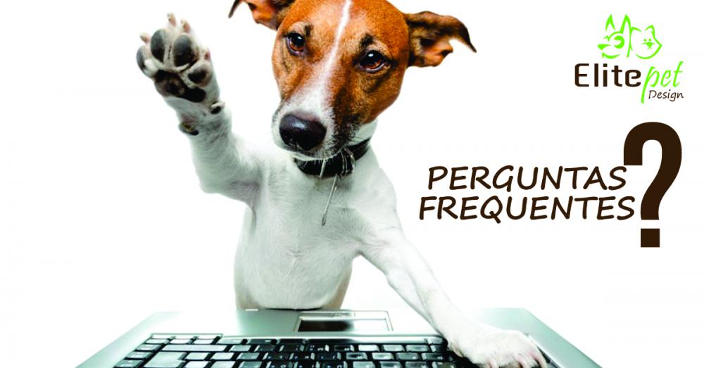 Perguntas Frequentes
